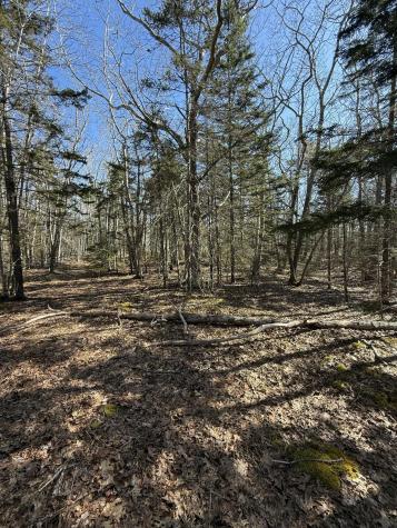 40 Eastwood Court Bristol ME 04539