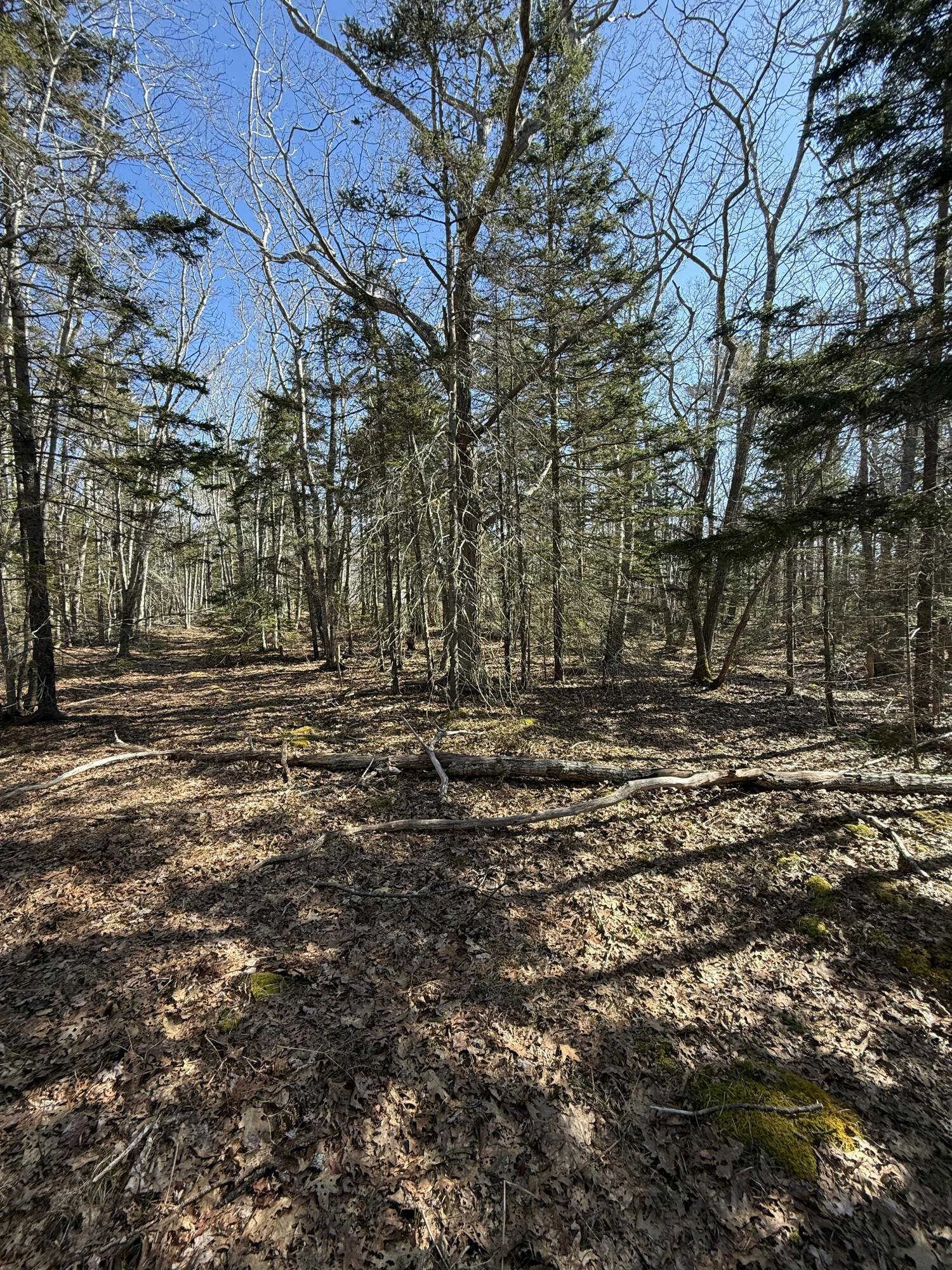 40 Eastwood Court Bristol ME 04539