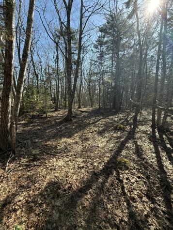 40 Eastwood Court Bristol ME 04539