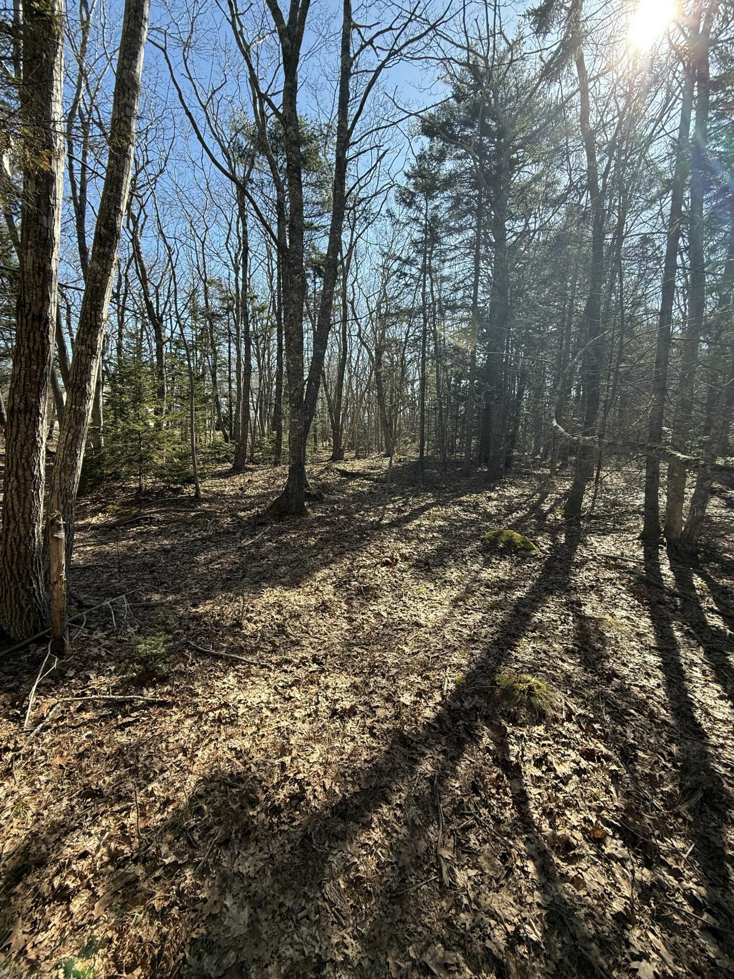 40 Eastwood Court Bristol ME 04539