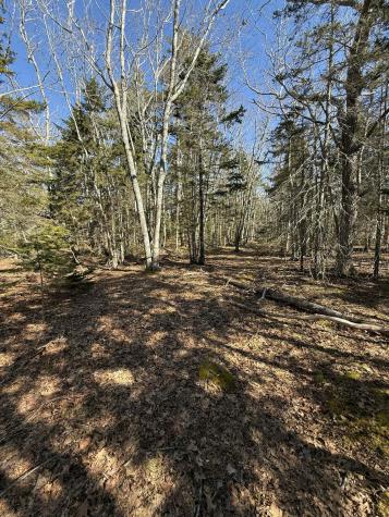 40 Eastwood Court Bristol ME 04539