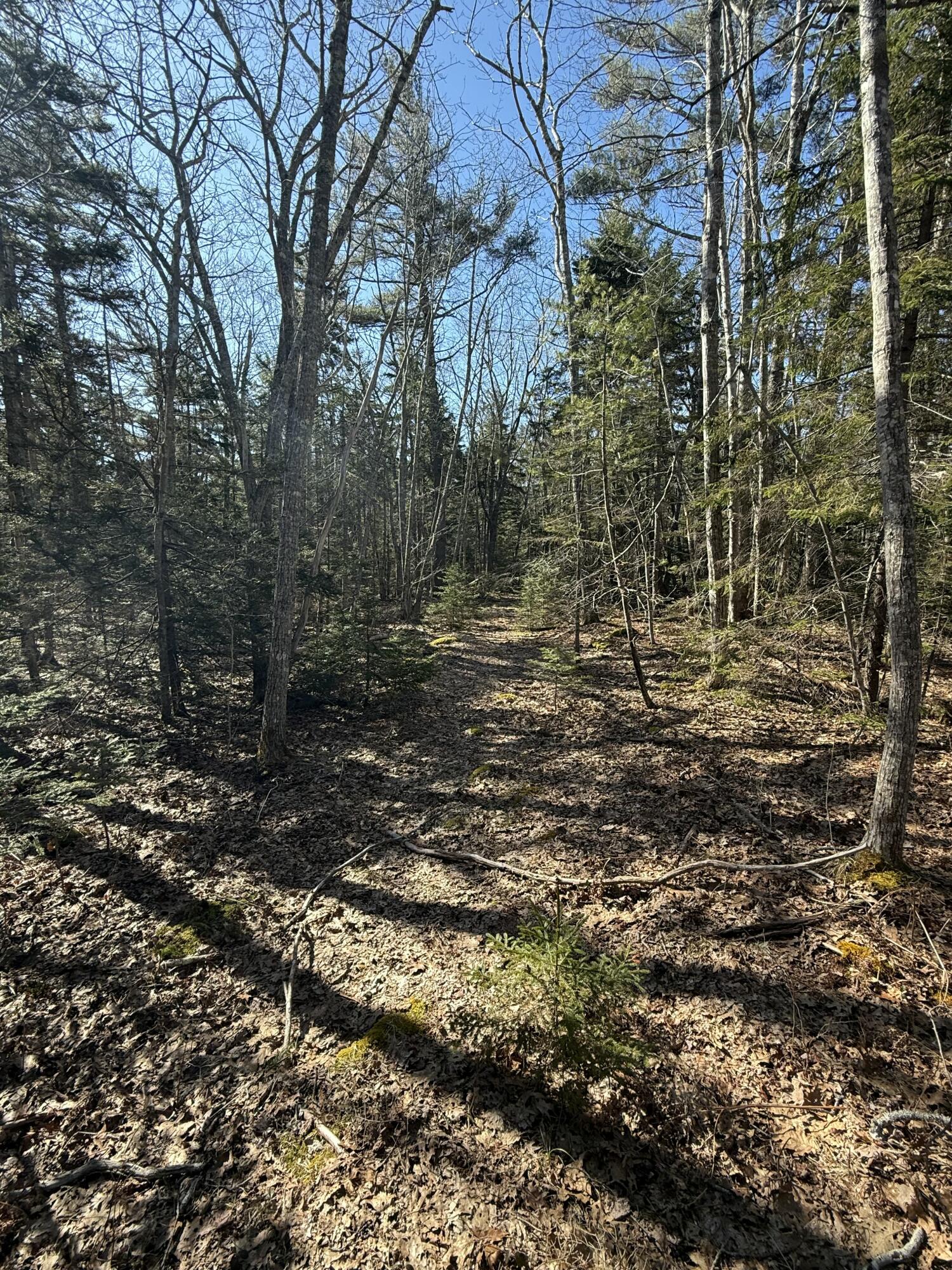 40 Eastwood Court Bristol ME 04539