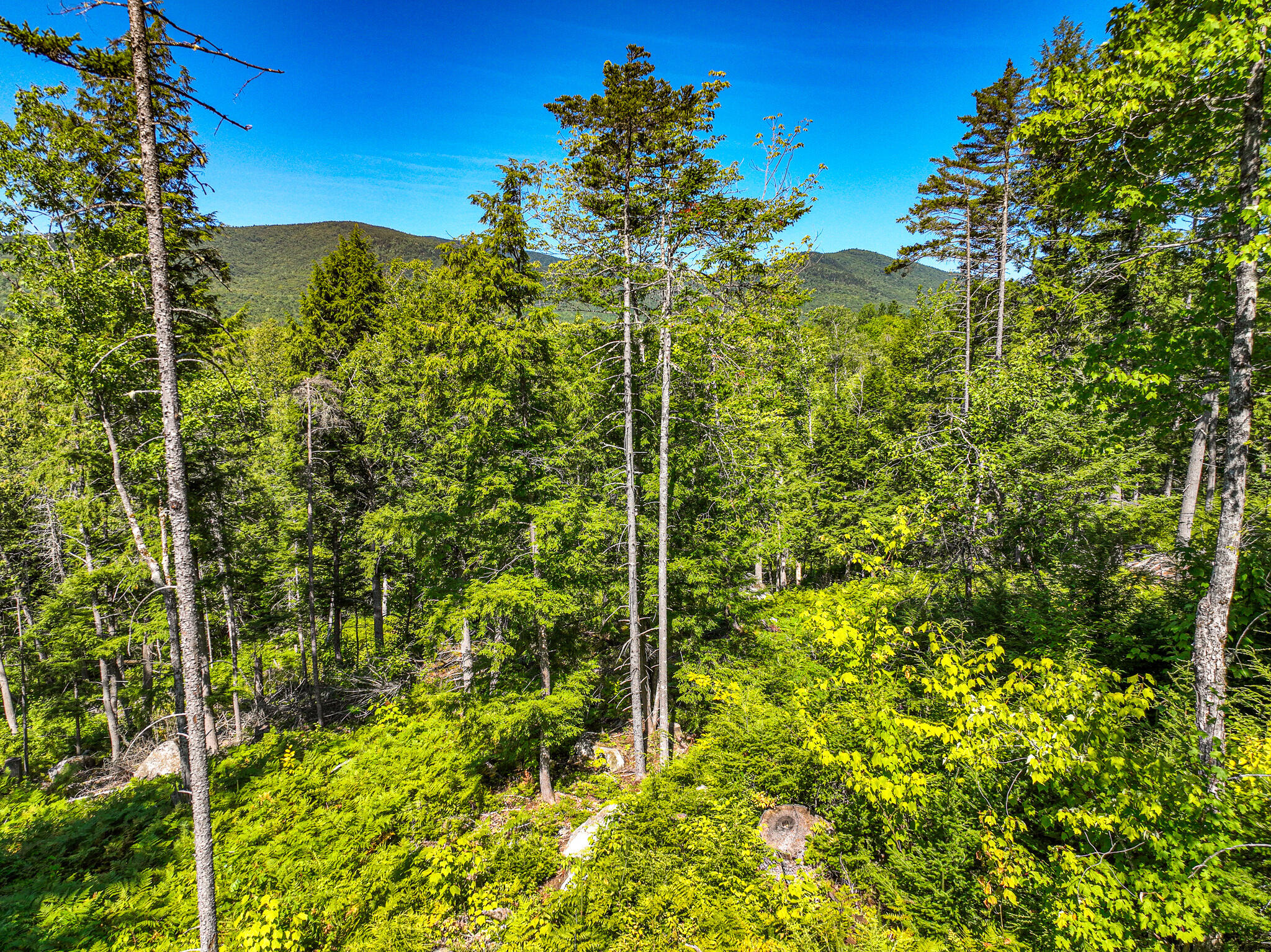 Lot 39 Sawyer Notch Road Andover ME 04216