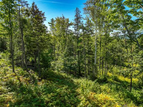 Lot 39 Sawyer Notch Road Andover ME 04216