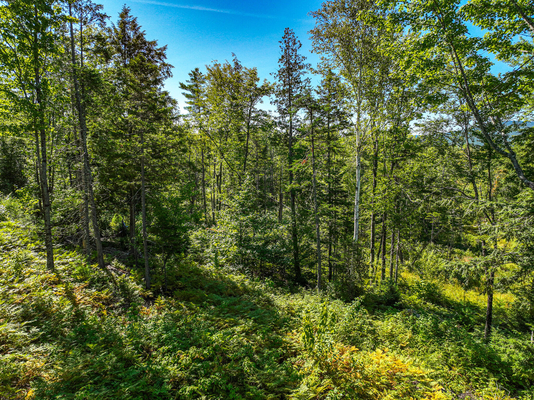 Lot 39 Sawyer Notch Road Andover ME 04216