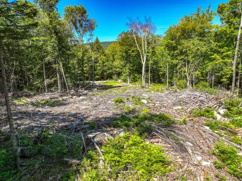 Lot 39 Sawyer Notch Road Andover ME 04216
