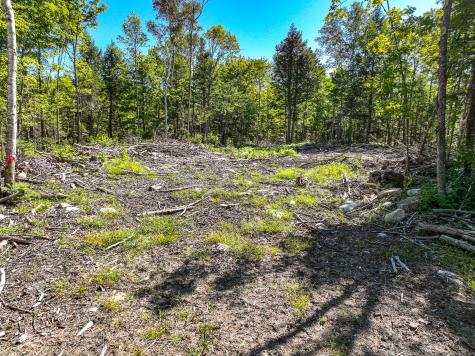 Lot 39 Sawyer Notch Road Andover ME 04216
