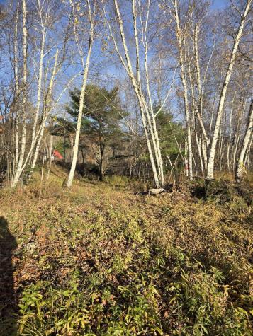 000 Intervale Road Jay ME 04239