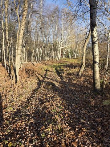 000 Intervale Road Jay ME 04239