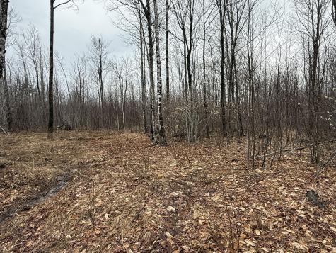 Lot 13w Mountain View Drive Temple ME 04984