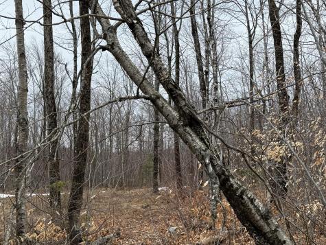 Lot 13w Mountain View Drive Temple ME 04984