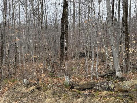 Lot 13w Mountain View Drive Temple ME 04984