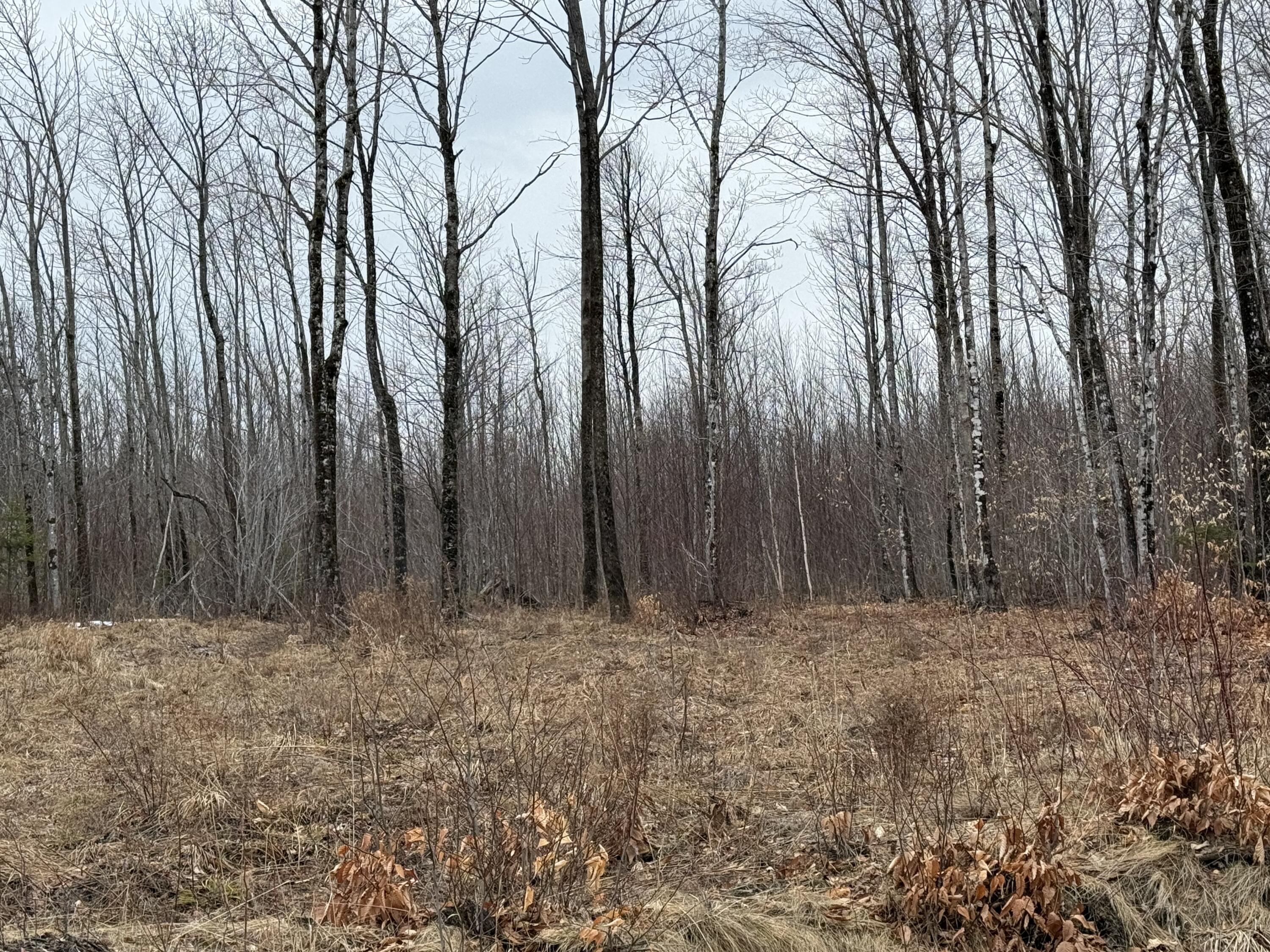 Lot 13w Mountain View Drive Temple ME 04984