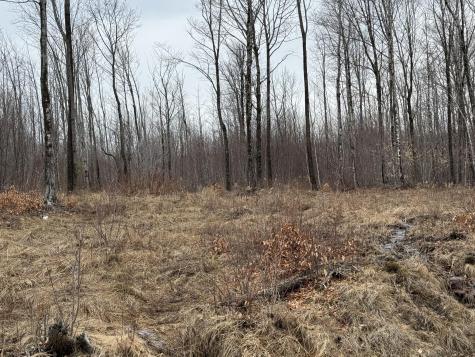 Lot 13w Mountain View Drive Temple ME 04984