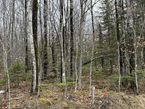 Lot 13w Mountain View Drive Temple ME 04984
