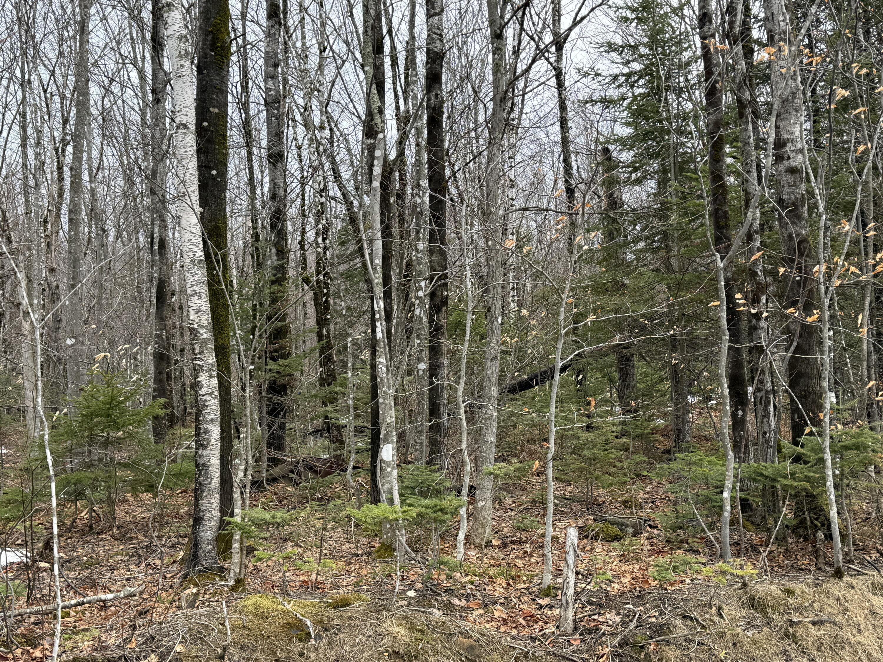 Lot 13w Mountain View Drive Temple ME 04984
