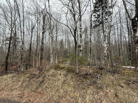Lot 13w Mountain View Drive Temple ME 04984