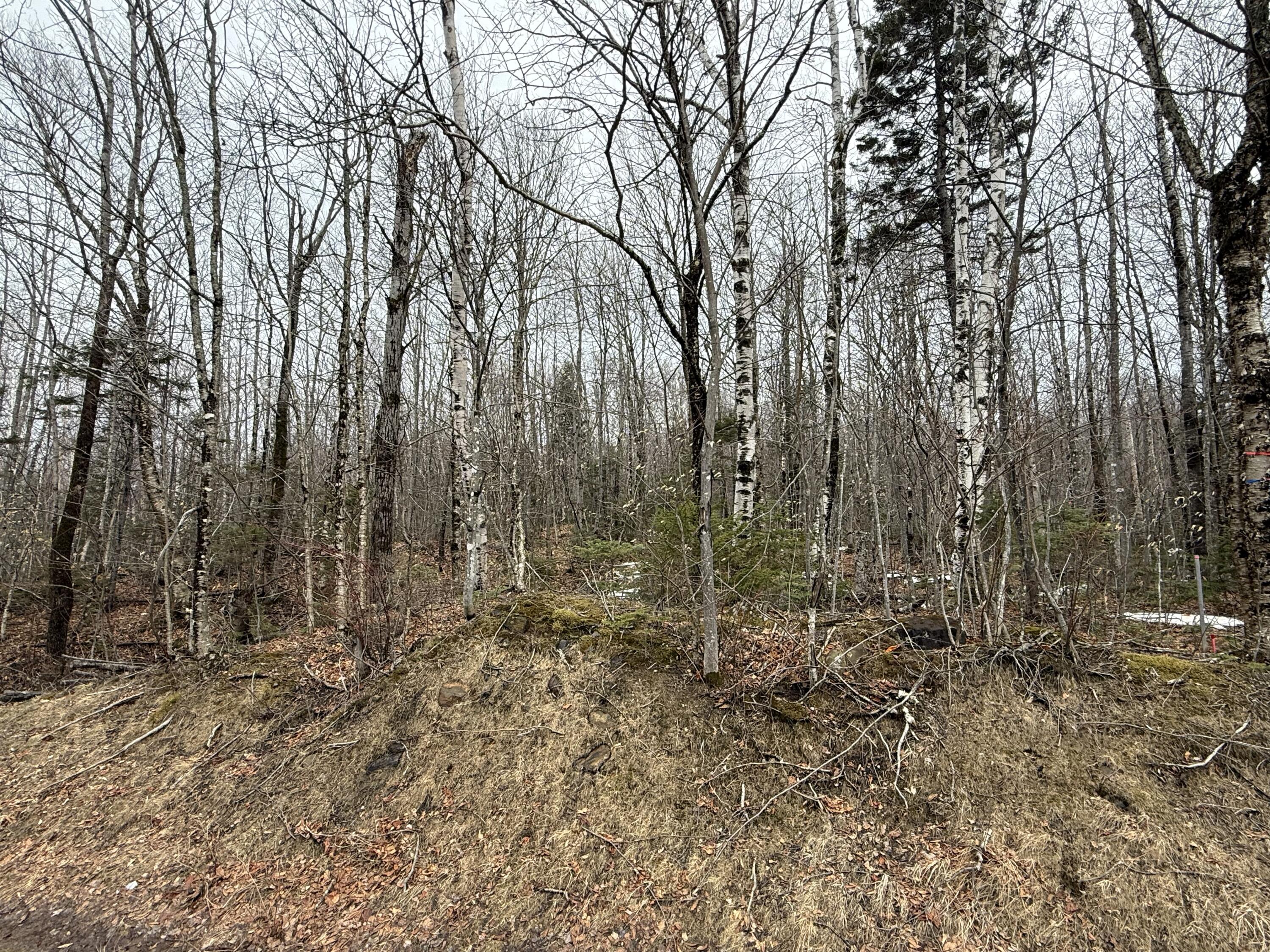 Lot 13w Mountain View Drive Temple ME 04984
