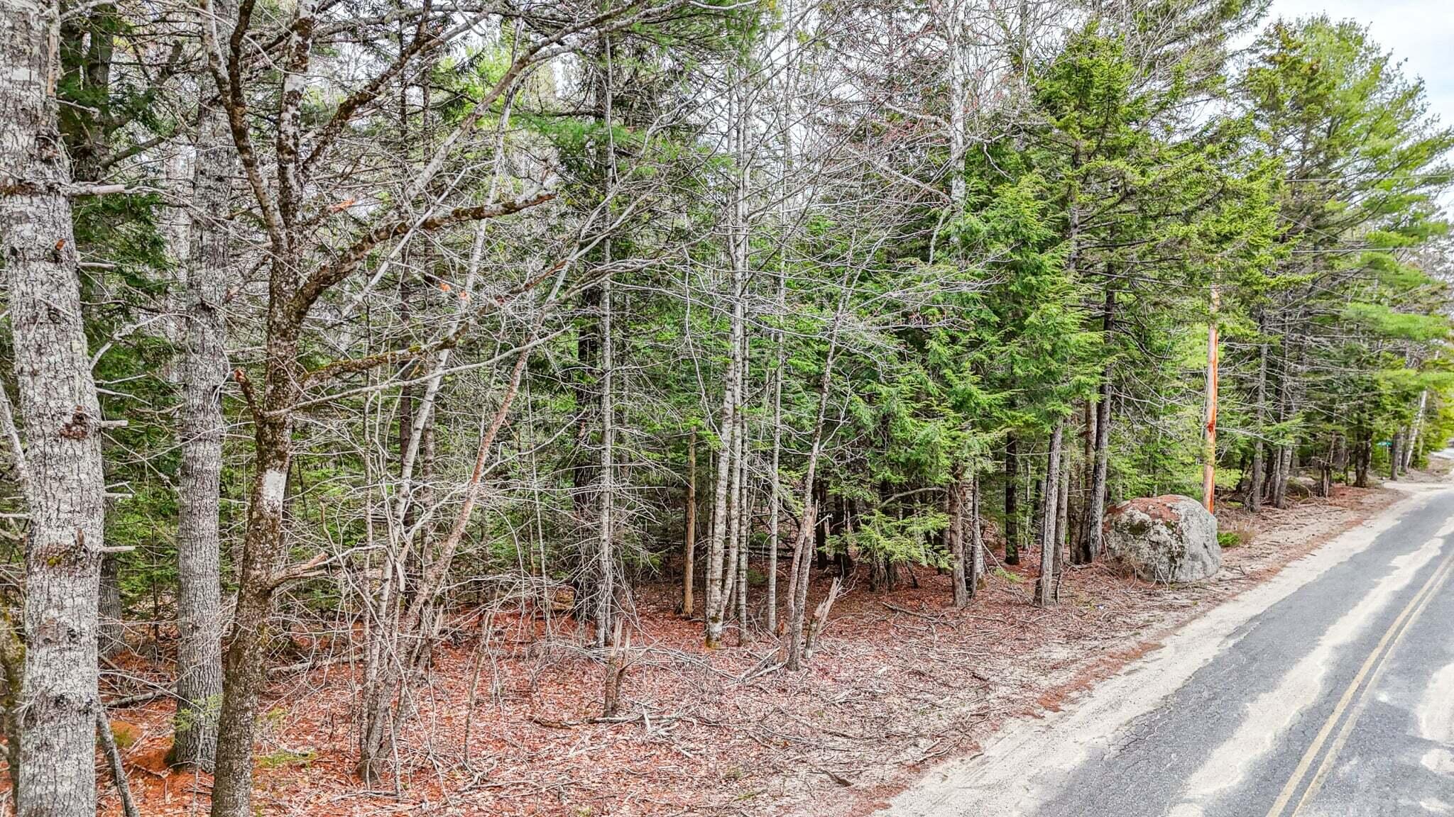 2 Wolf Cove Road Eastbrook ME 04634