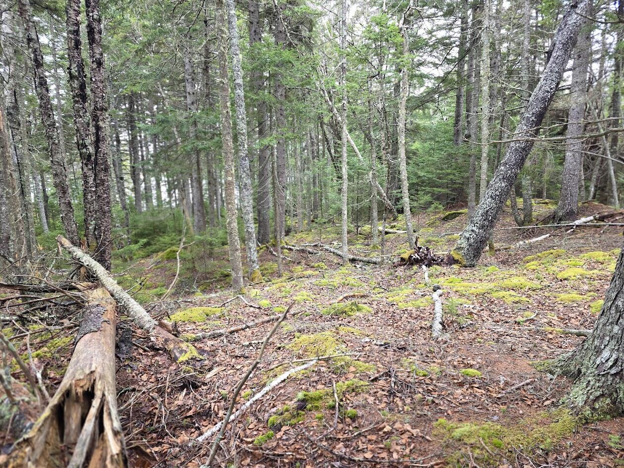 Lot 1 Windward Way Addison ME 04606