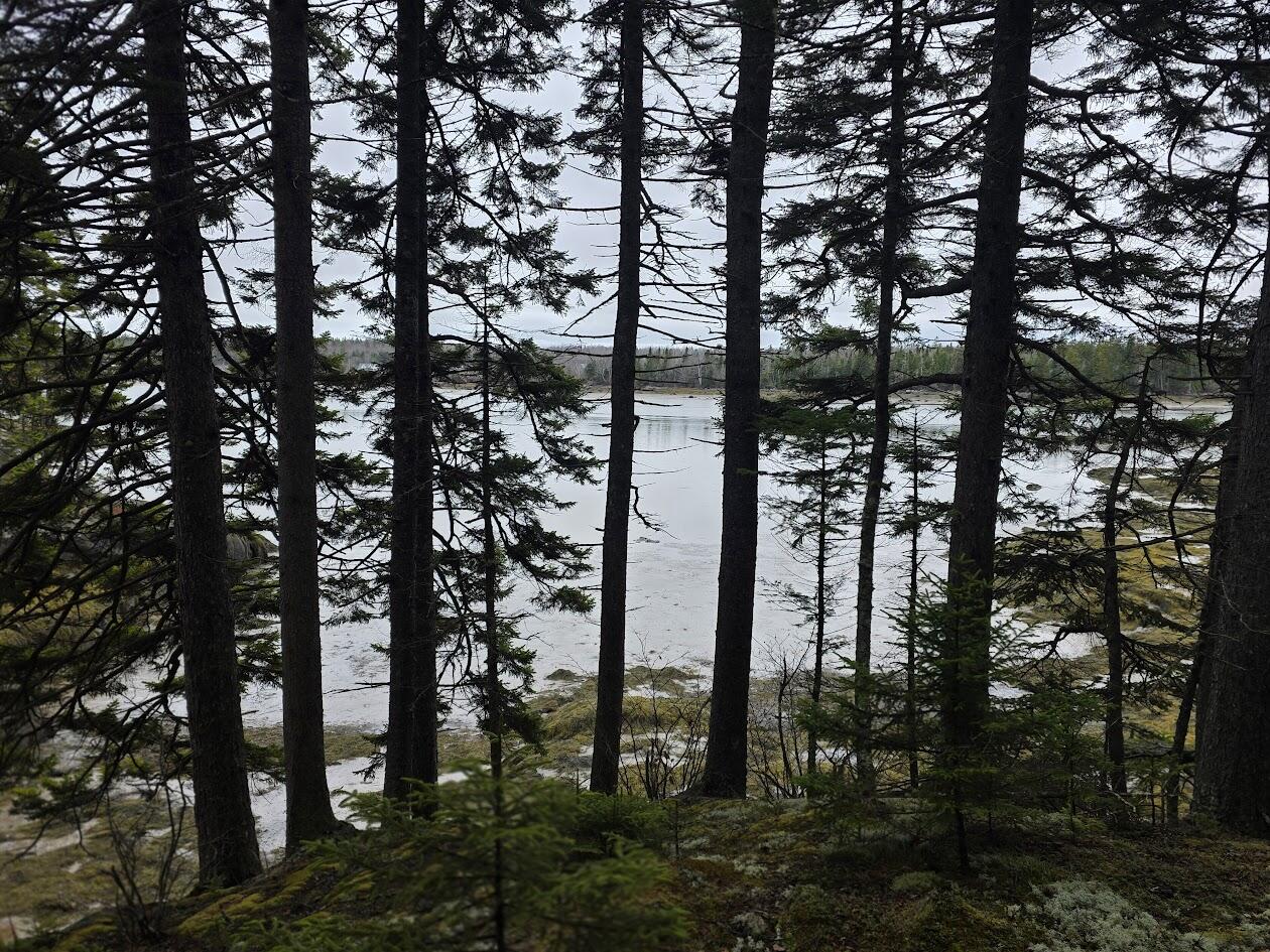 Lot 1 Windward Way Addison ME 04606