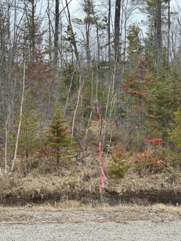 0 Town Farm Road Bucksport ME 04416