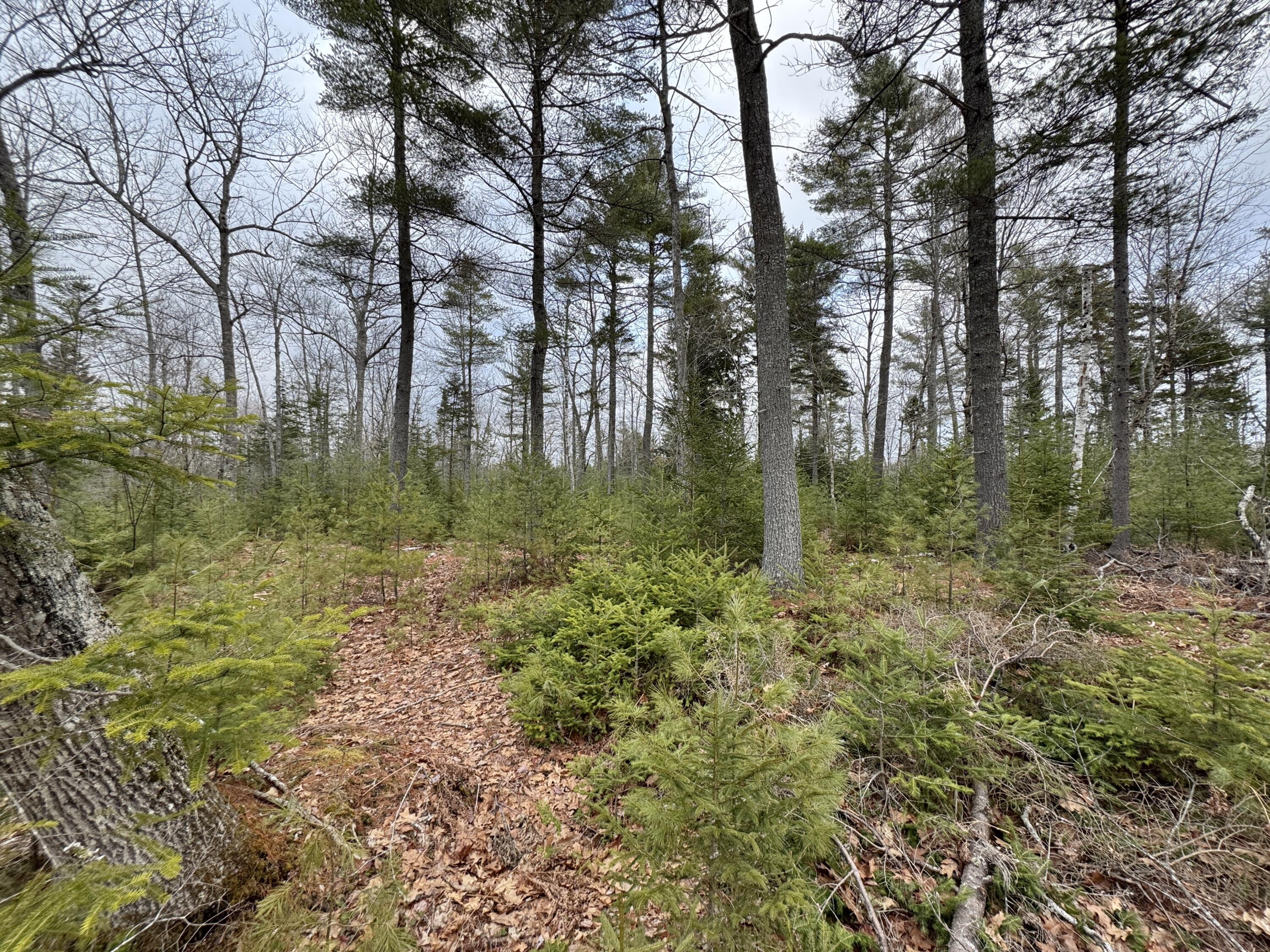 0 Town Farm Road Bucksport ME 04416
