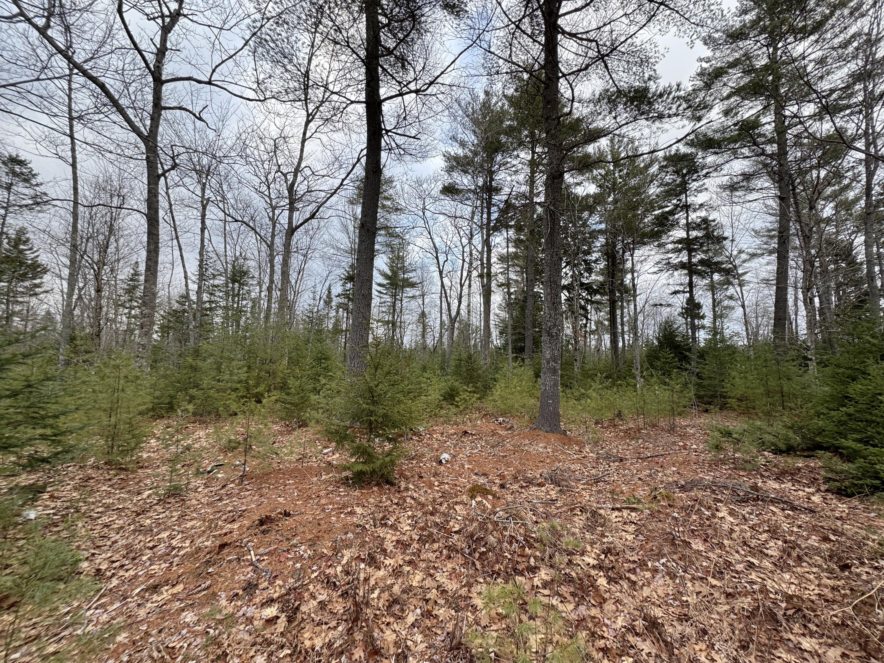 0 Town Farm Road Bucksport ME 04416