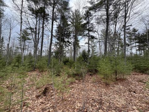 0 Town Farm Road Bucksport ME 04416