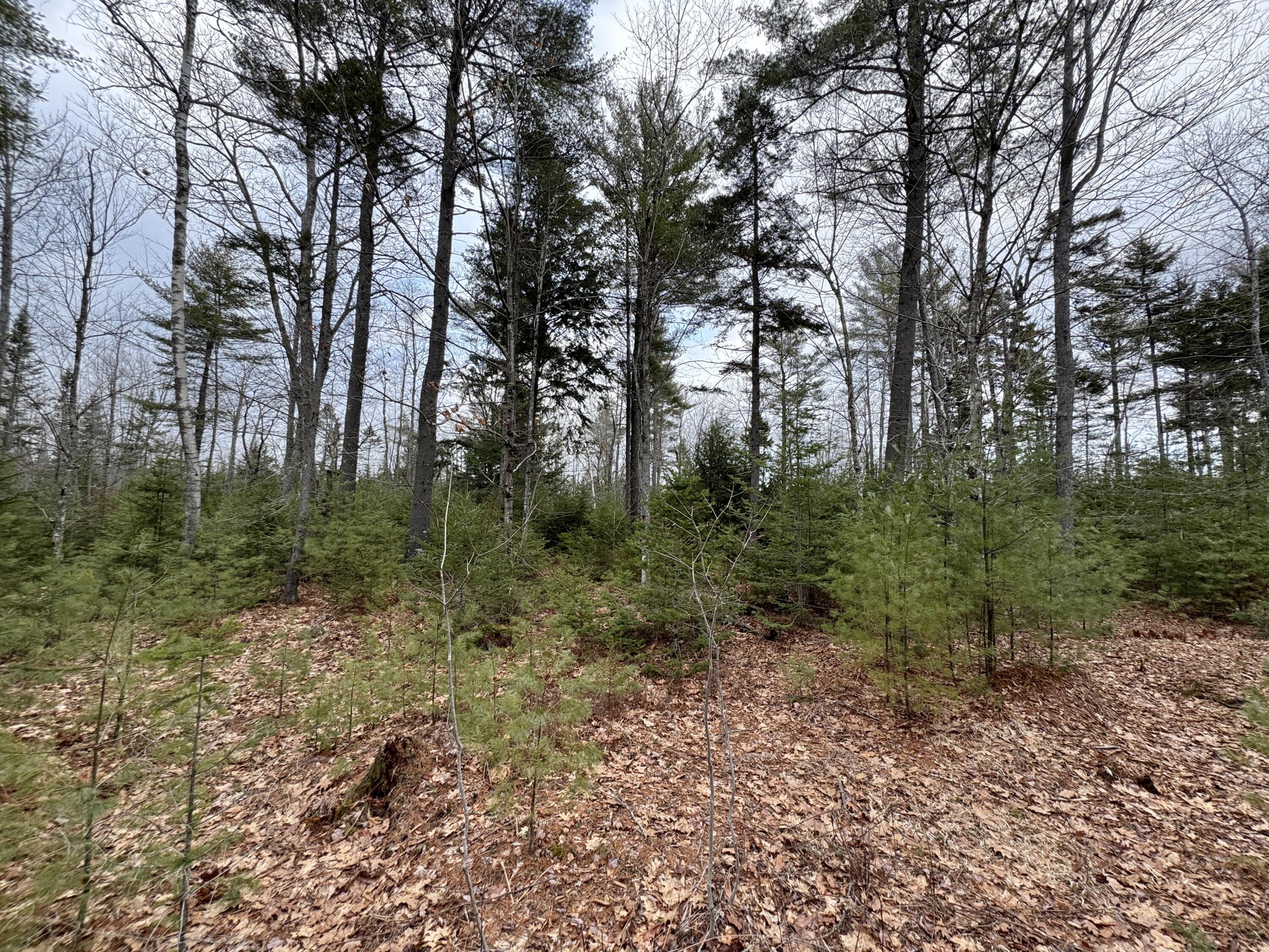 0 Town Farm Road Bucksport ME 04416