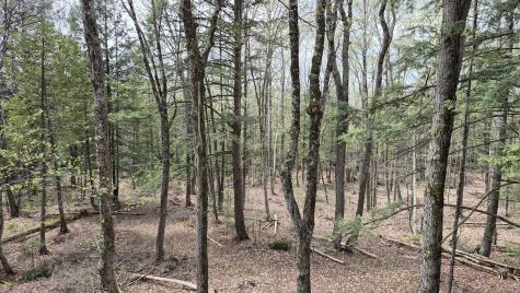 Lot 29-a Hill Road Clinton ME 04927