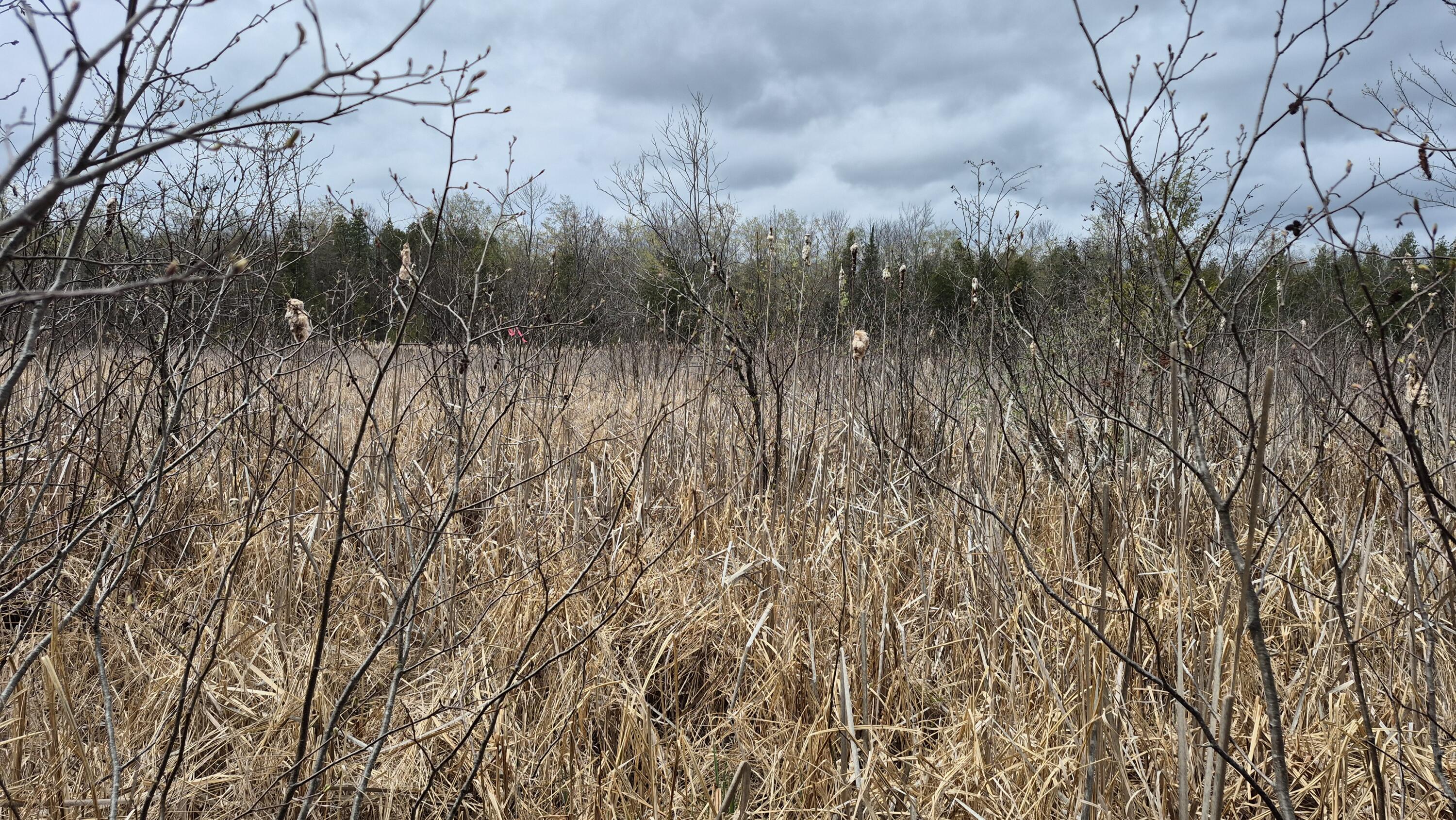 Lot 29-a Hill Road Clinton ME 04927