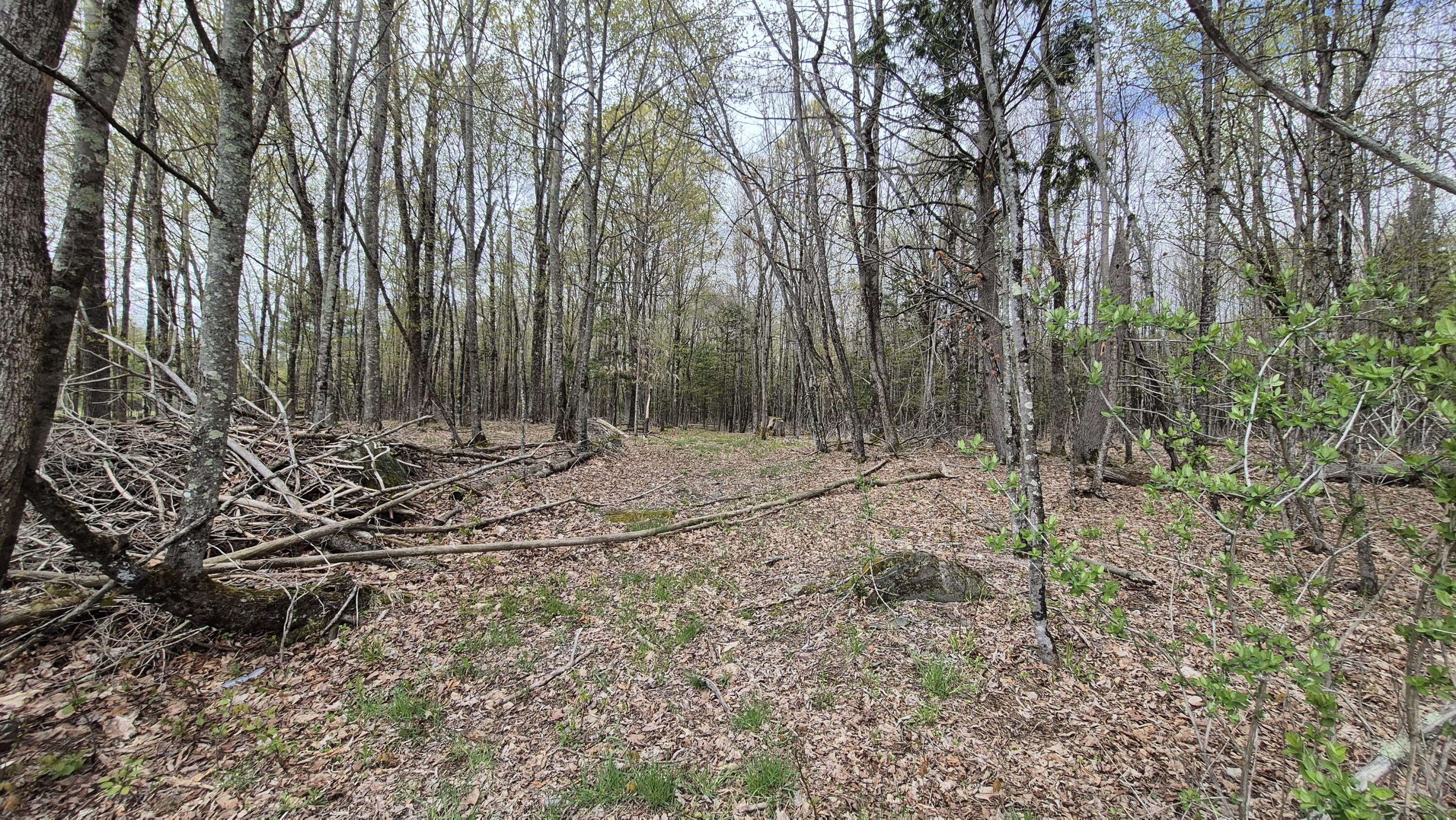 Lot 29-a Hill Road Clinton ME 04927