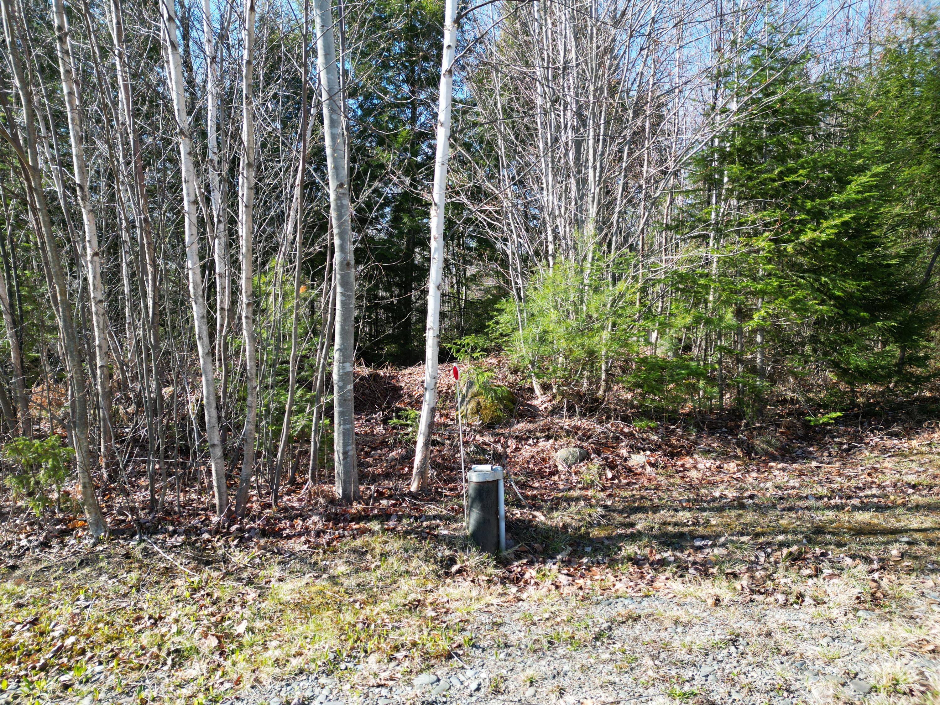 Lot 18-1 Hale Farm Road Lee ME 04455