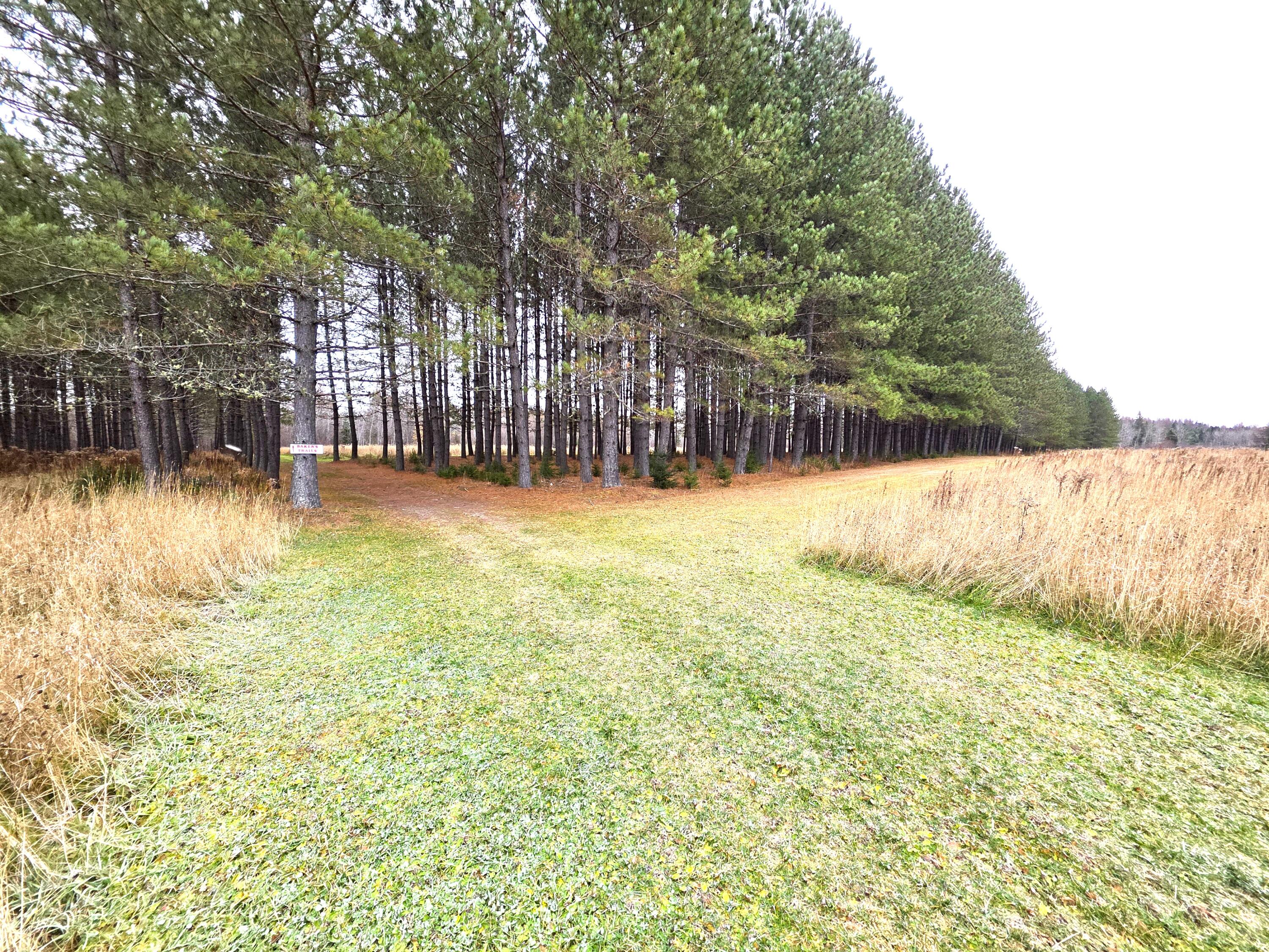 M02, L026 Mcintyre Road Woodland ME 04736