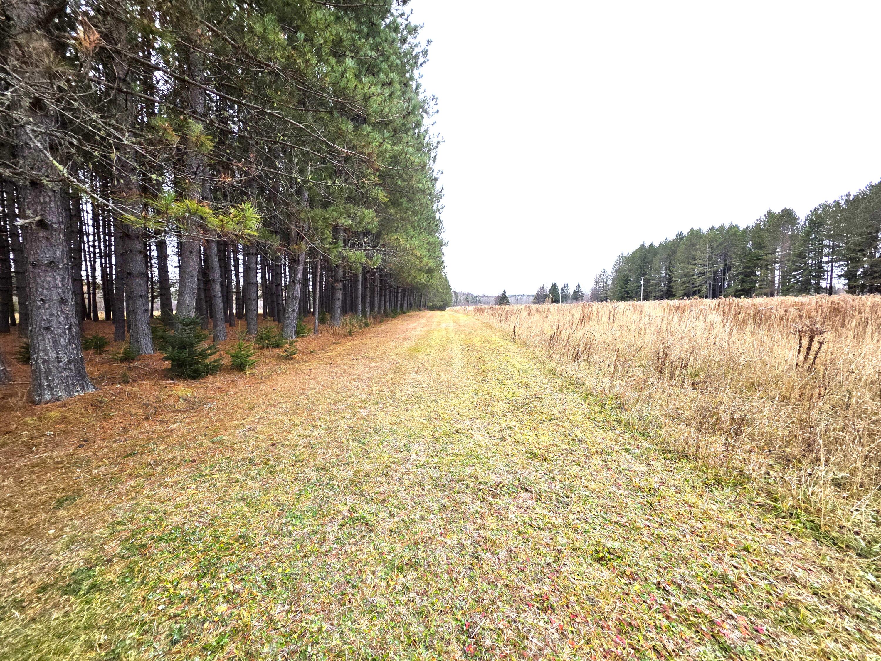M02, L026 Mcintyre Road Woodland ME 04736