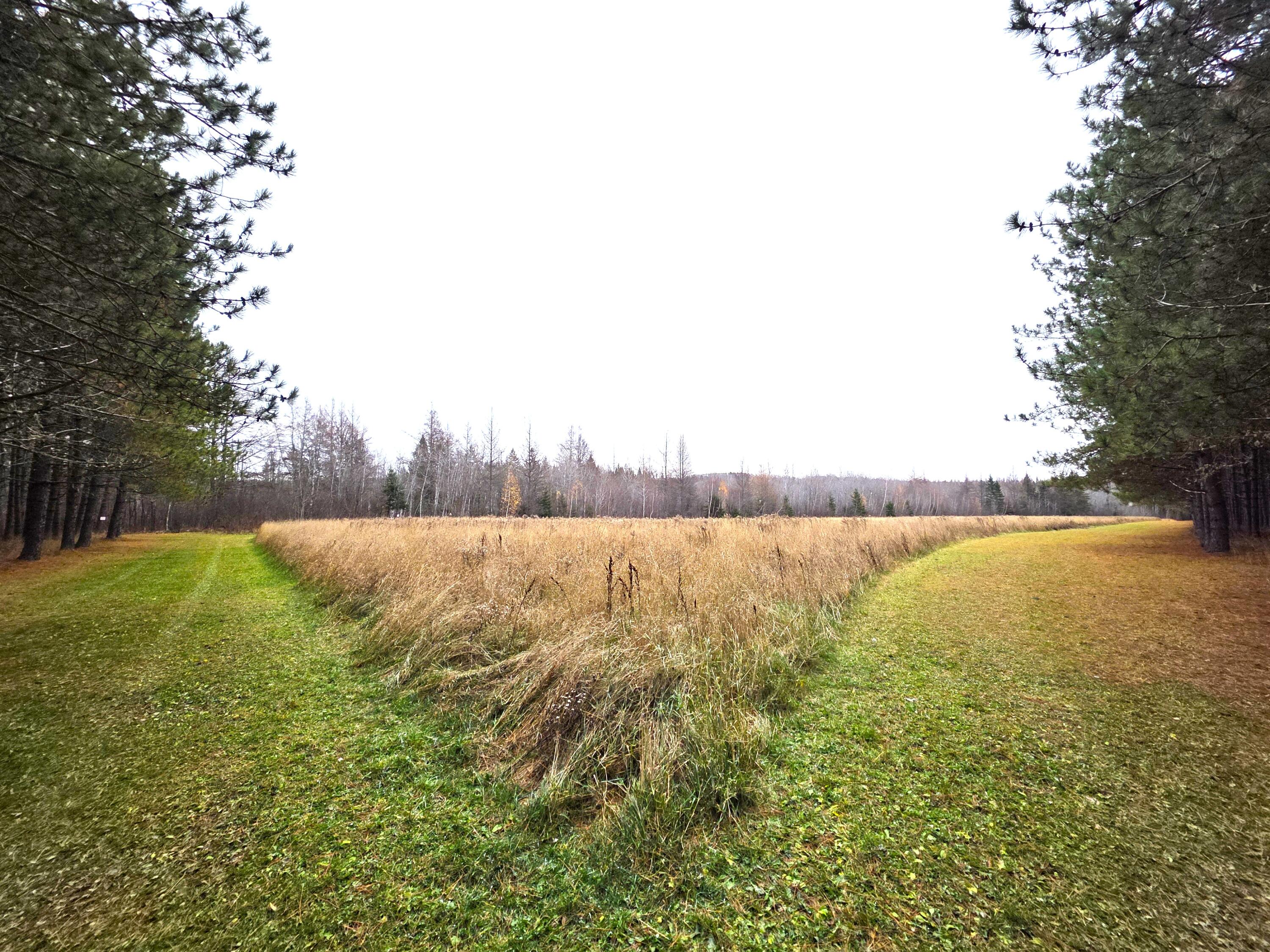 M02, L026 Mcintyre Road Woodland ME 04736