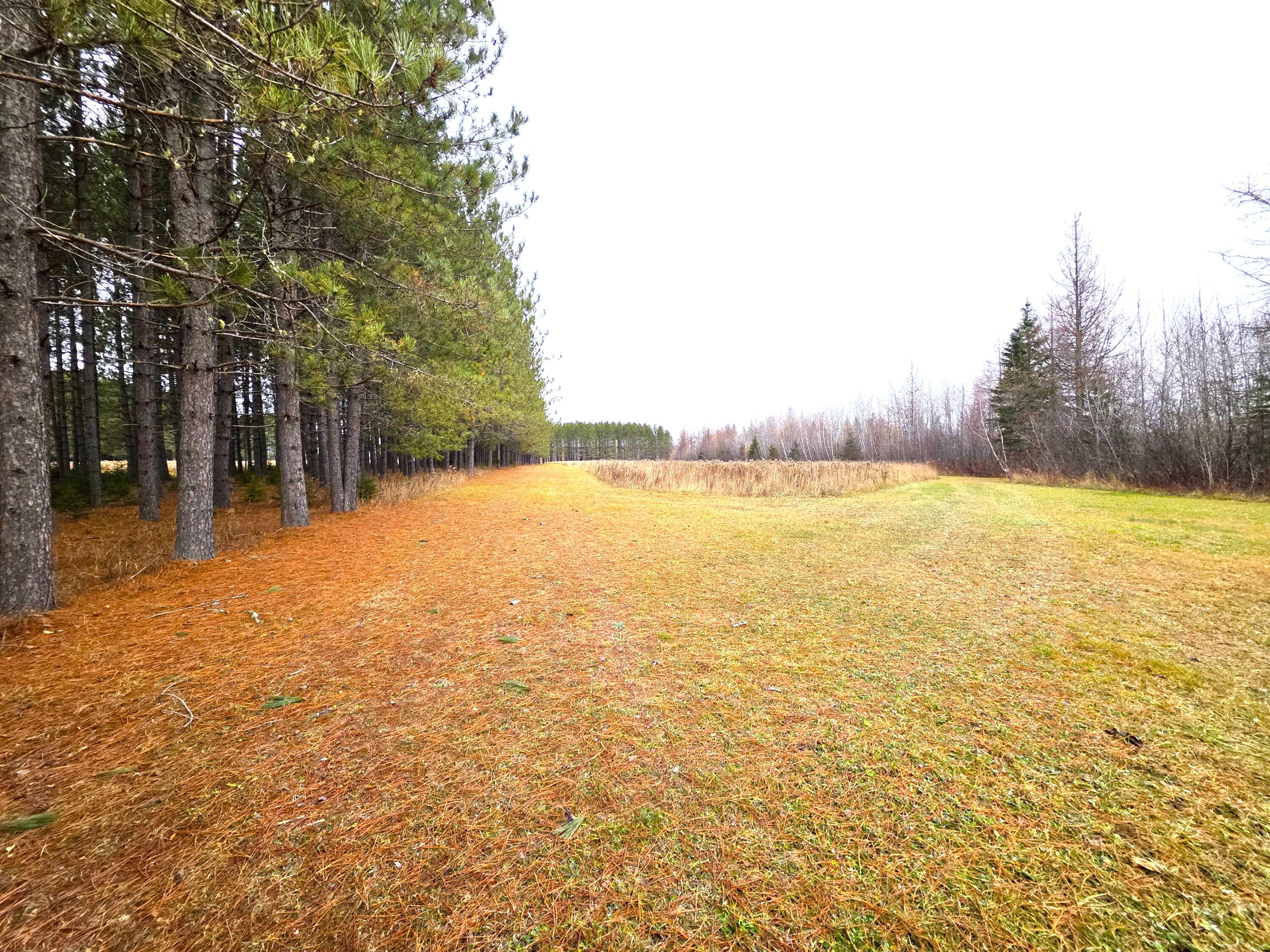 M02, L026 Mcintyre Road Woodland ME 04736