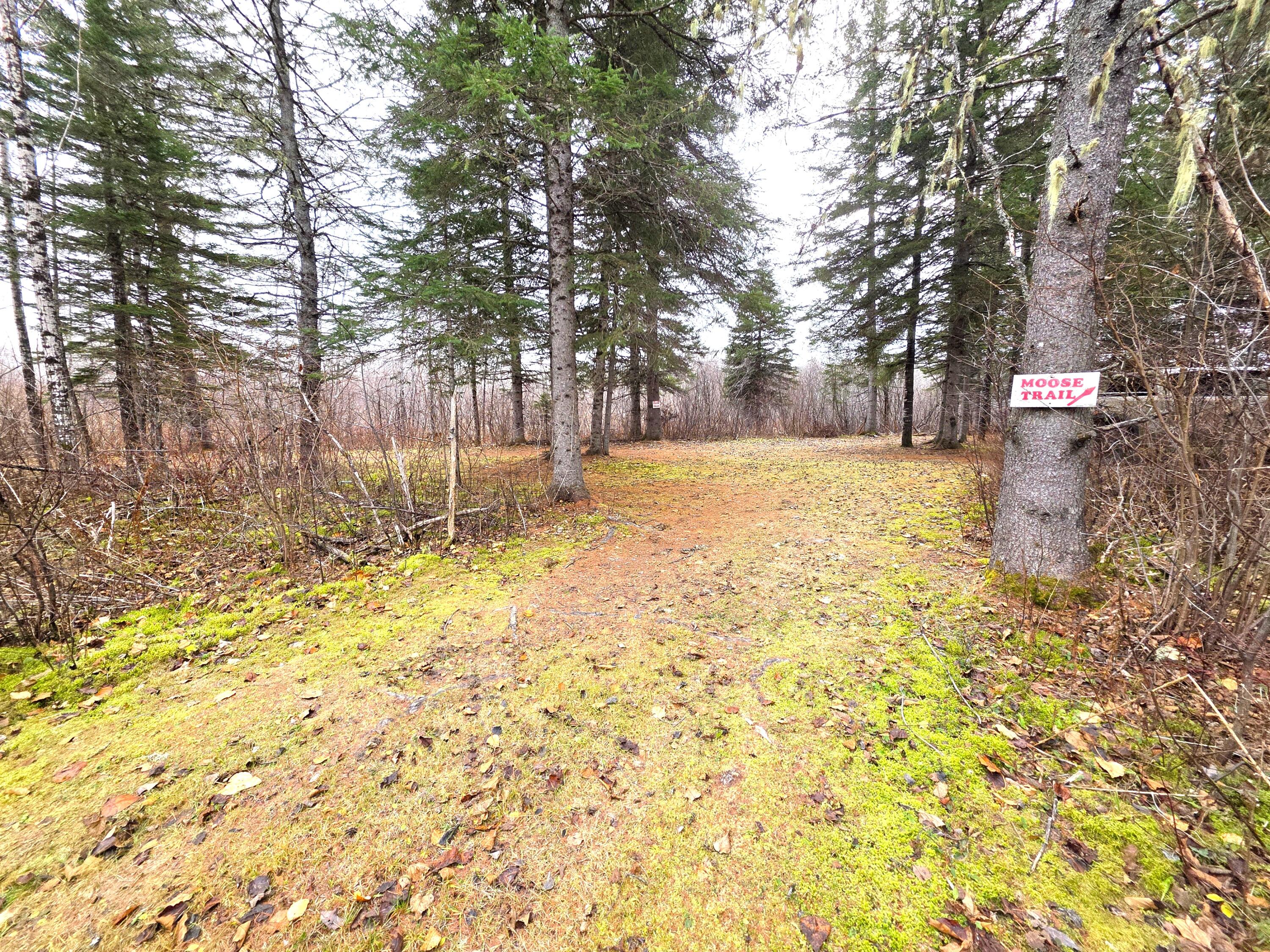 M02, L026 Mcintyre Road Woodland ME 04736