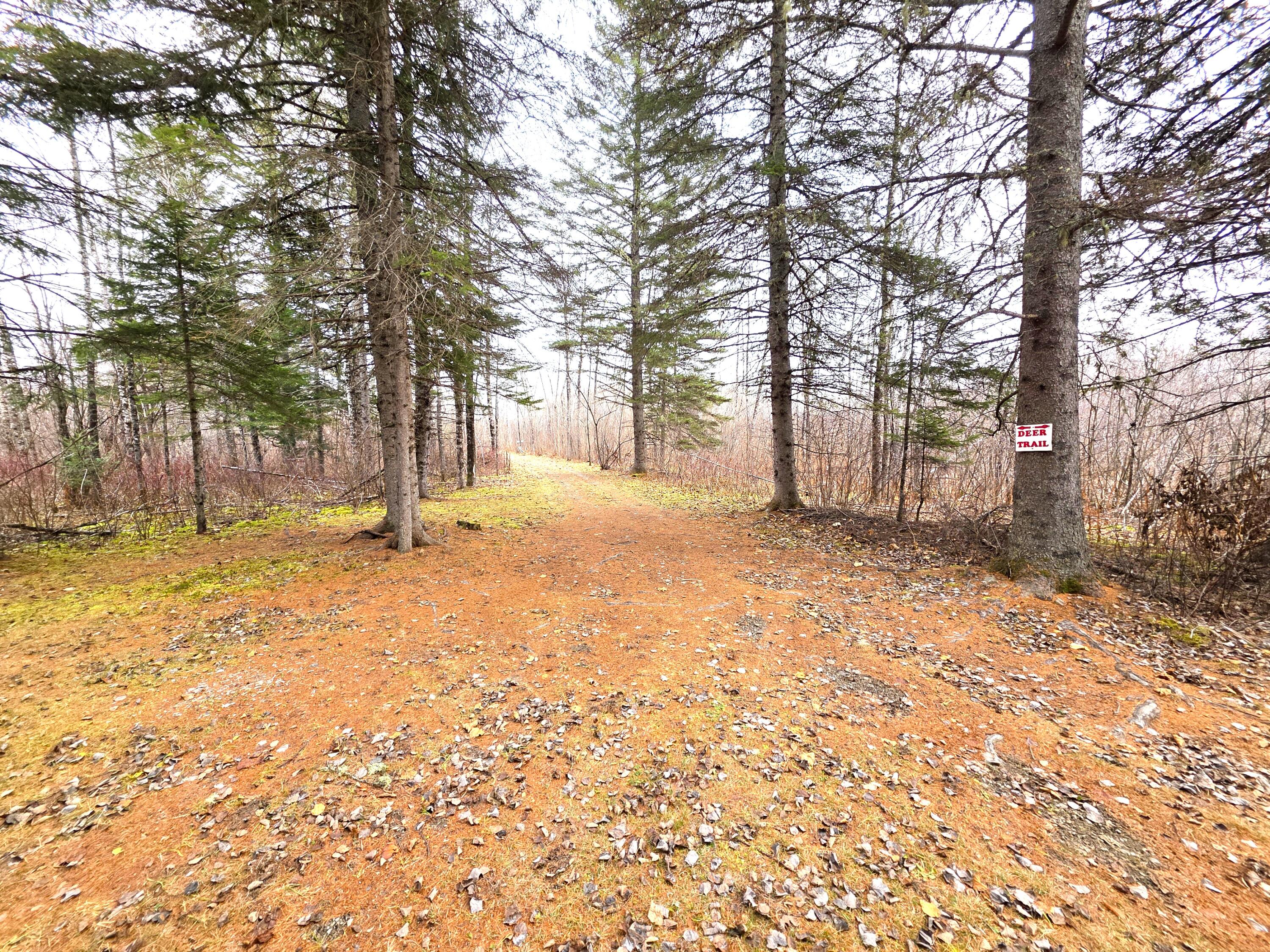M02, L026 Mcintyre Road Woodland ME 04736