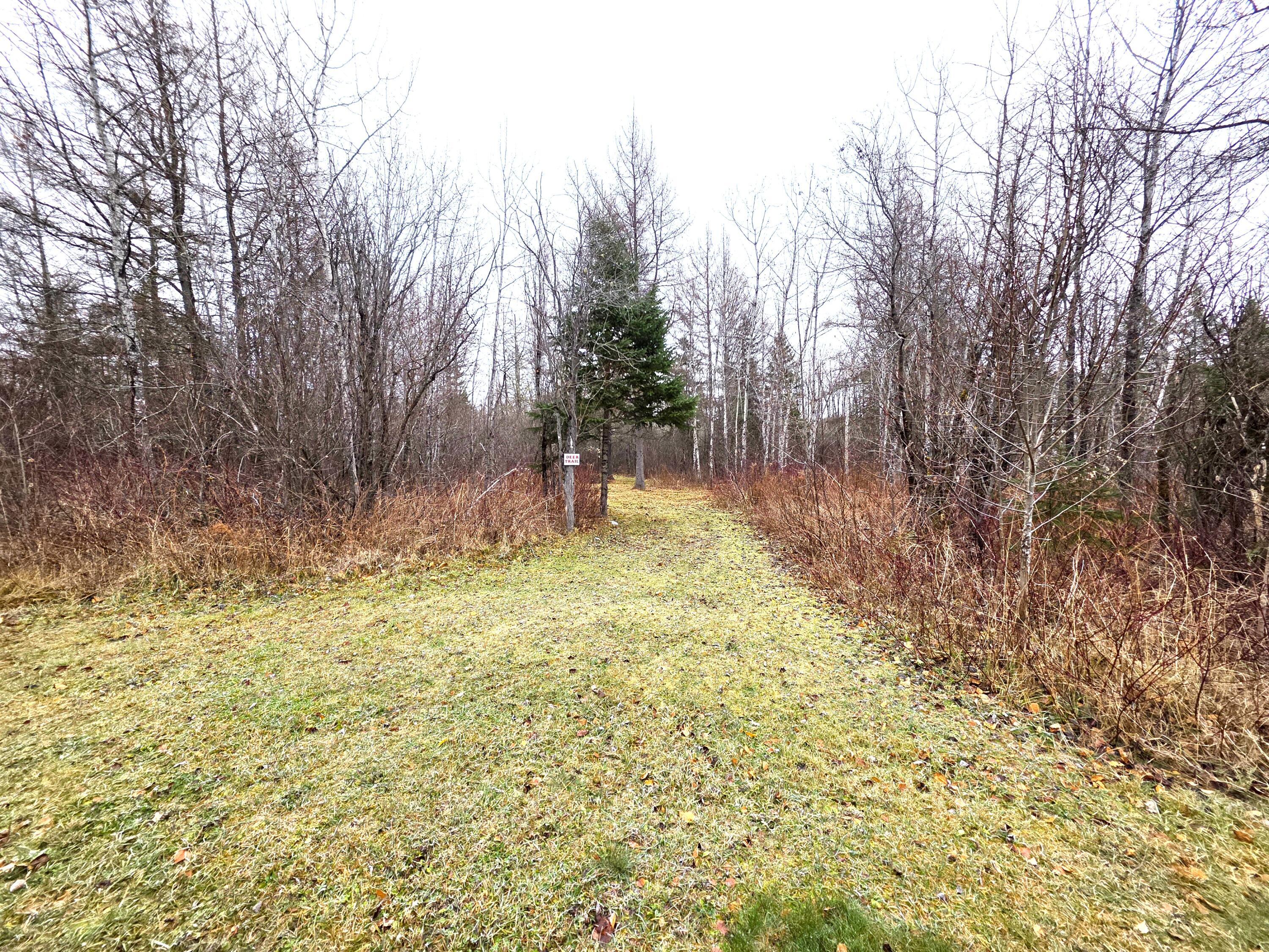 M02, L026 Mcintyre Road Woodland ME 04736