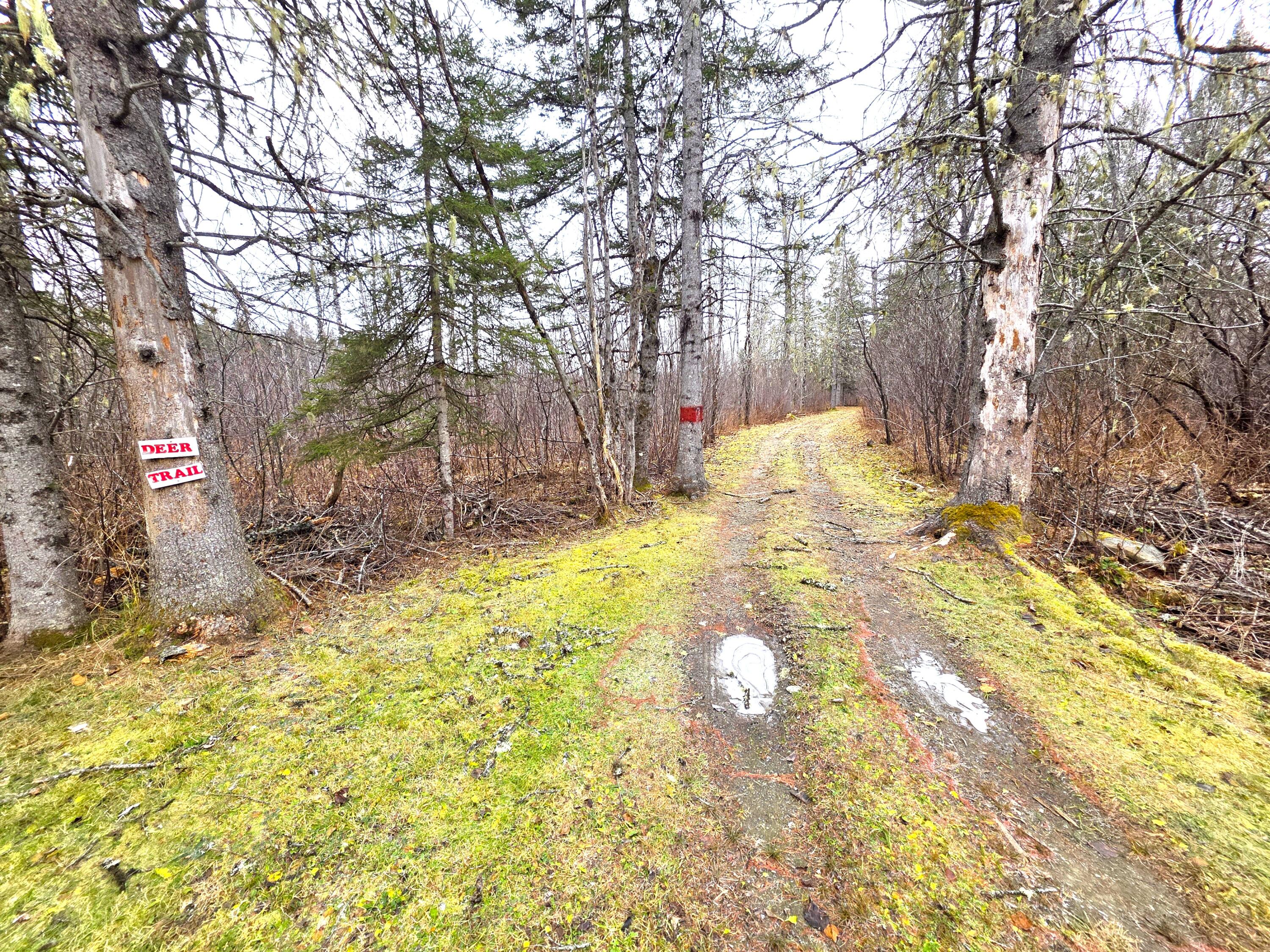 M02, L026 Mcintyre Road Woodland ME 04736