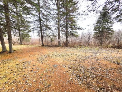 M02, L026 Mcintyre Road Woodland ME 04736