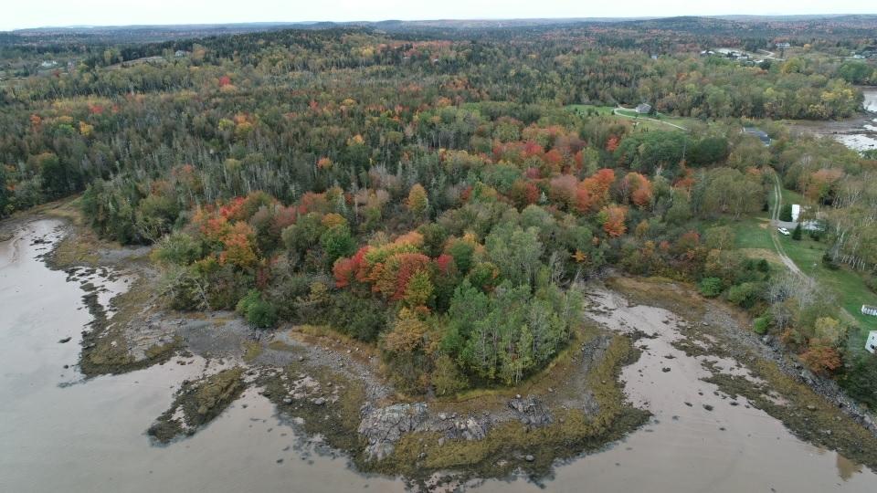 Lot 3 Dunn's Point Lane Machiasport Maine Real Estate Listing MLS 1457419