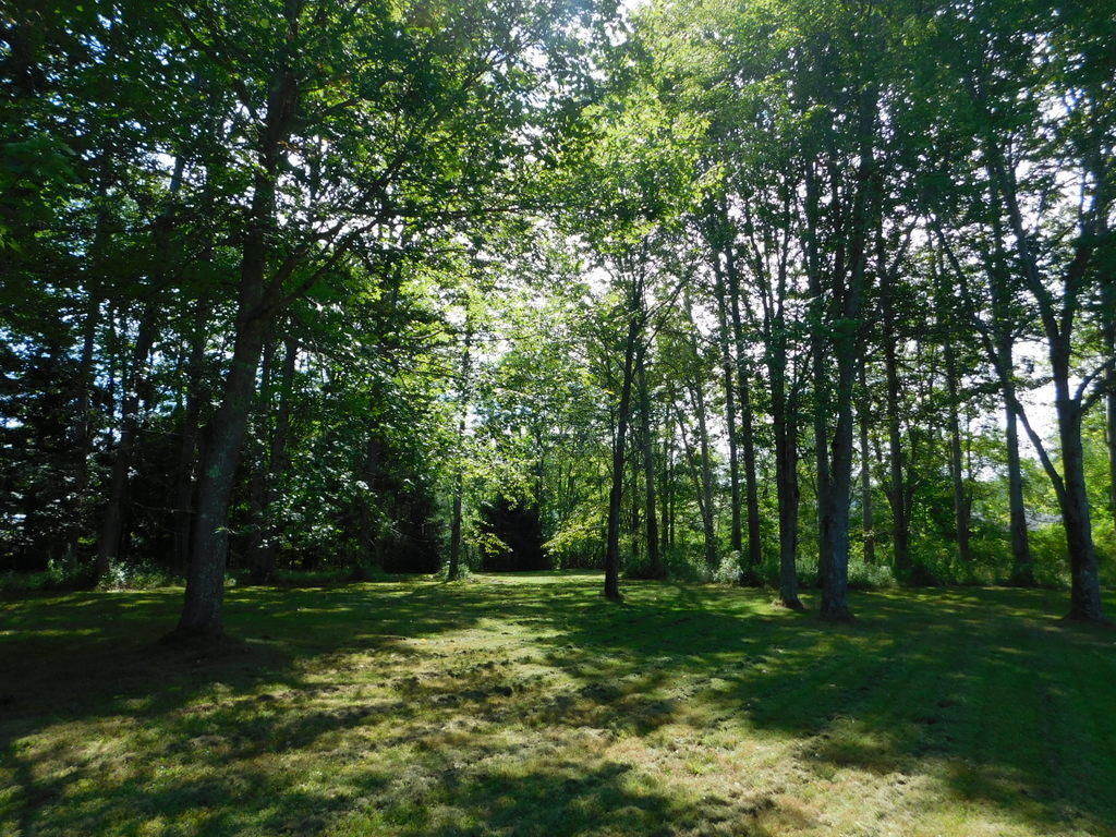 8 Mckenney Lane Kennebunk ME 04043