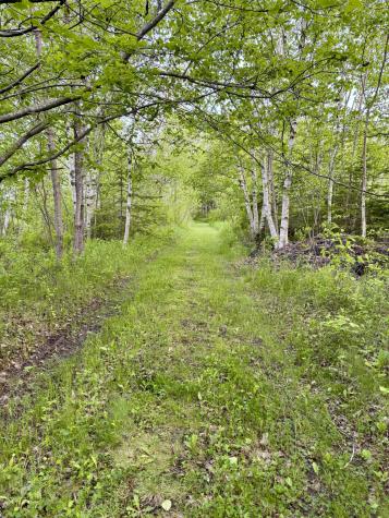 21 Indian Road Eastport ME 04631
