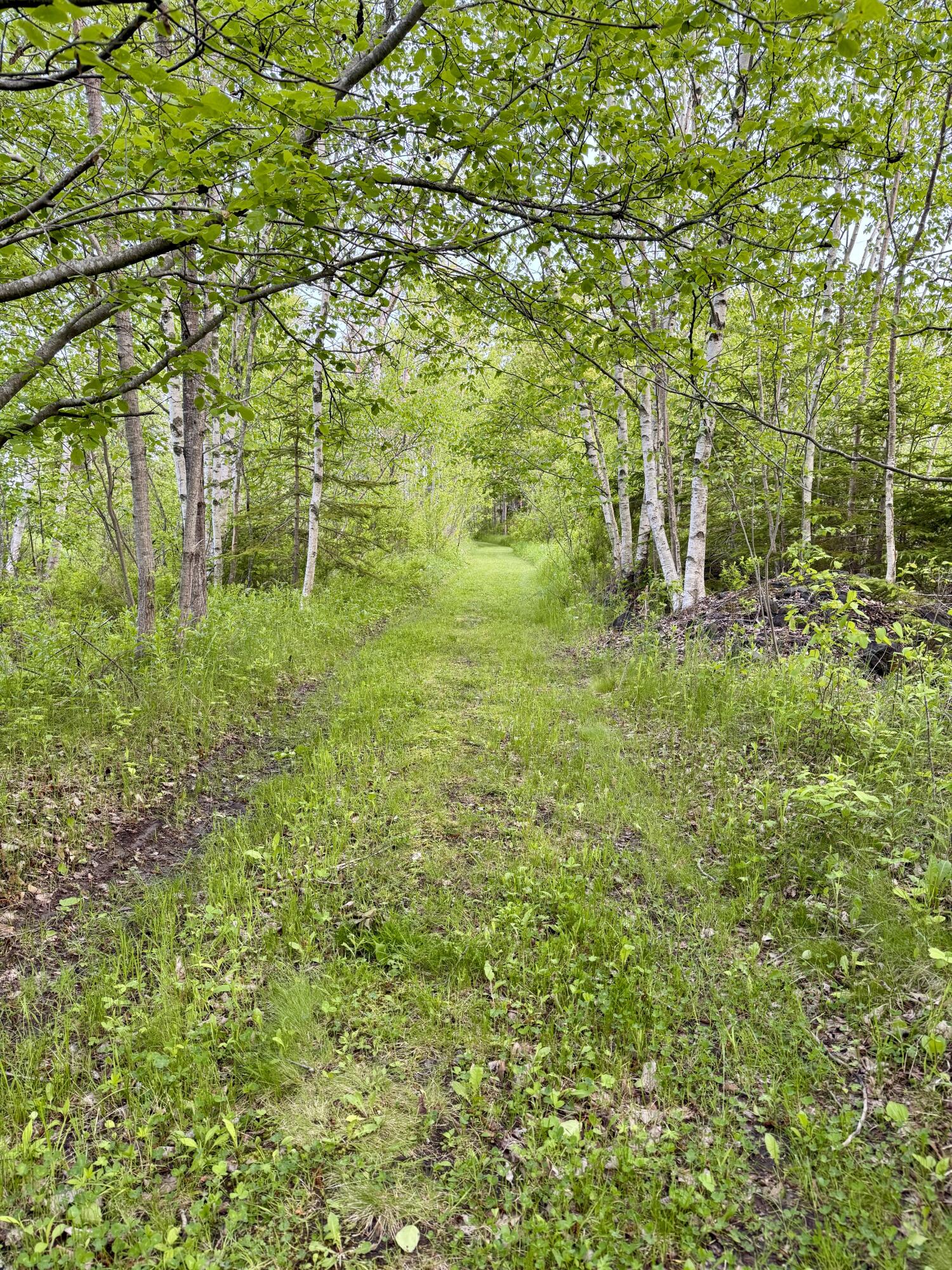 21 Indian Road Eastport ME 04631