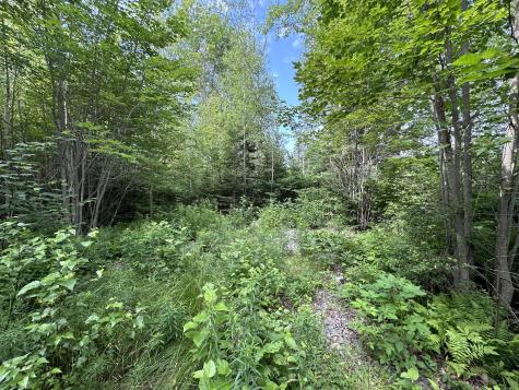 M1L75A South Lagrange Road Lagrange ME 04453