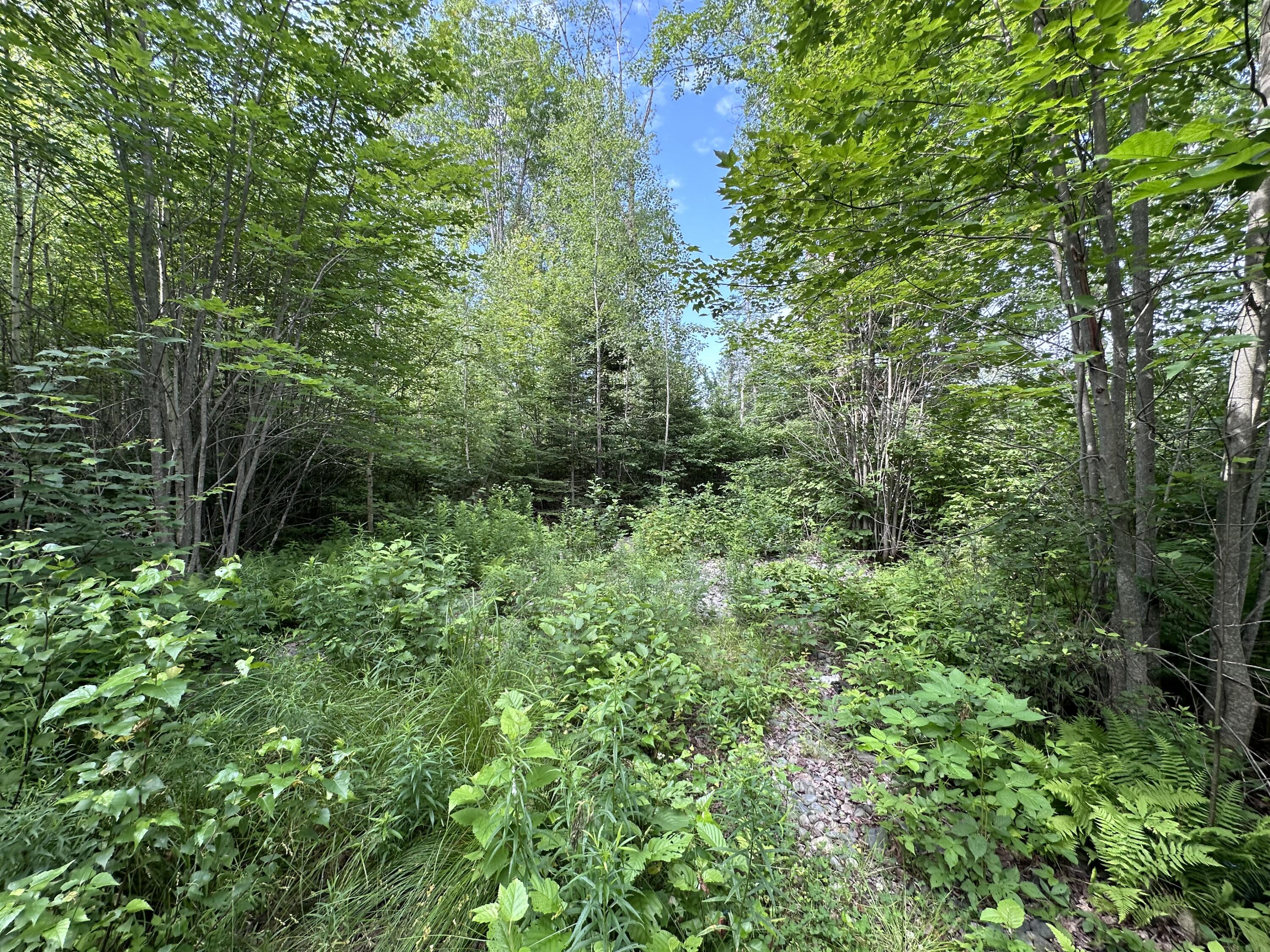 M1L75A South Lagrange Road Lagrange ME 04453