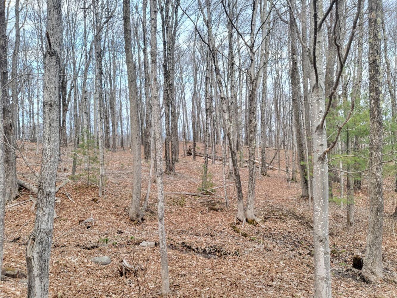 M34 L183-1 Temple Road Wilton ME 04294